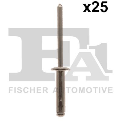 FA1 33-20009.25 Sortiment, Blindniet