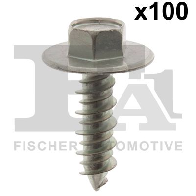 FA1 33-70002.100 Screw