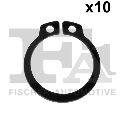 FA1 733.520.010 Dichtring