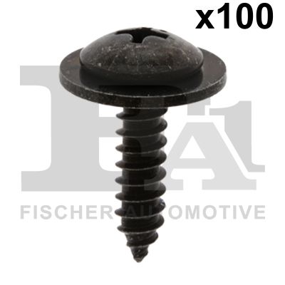 FA1 79-70001.100 Schraube
