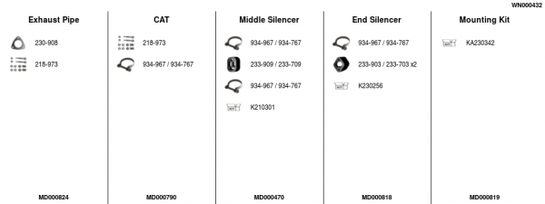 FA1 WN000432 Abgasanlage