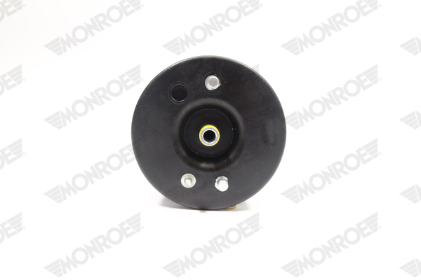 MONROE ASP010 Luftfeder, Fahrwerk