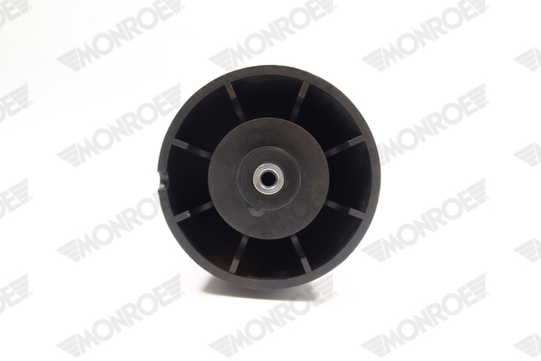 MONROE ASP010 Luftfeder, Fahrwerk
