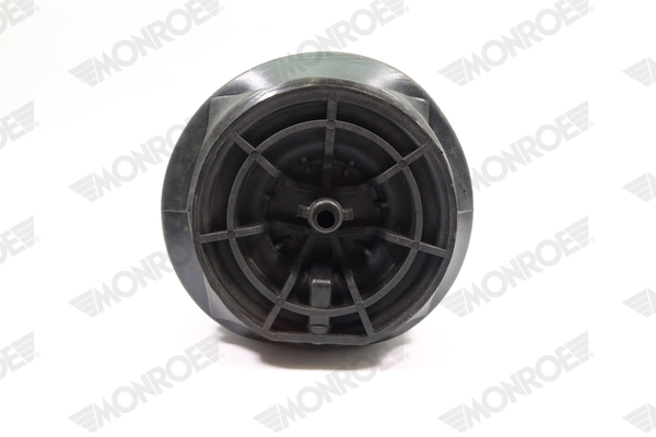 MONROE ASP029 Air Spring,...