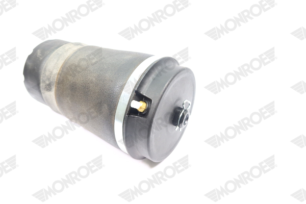 MONROE ASP038 Air Spring,...