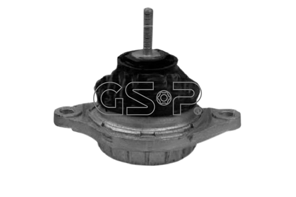 GSP 510081 Lagerung, Motor