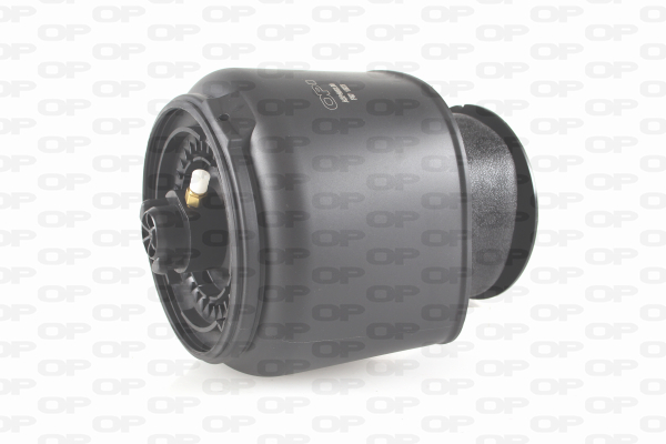 OPEN PARTS ASP4002.00 Molla...