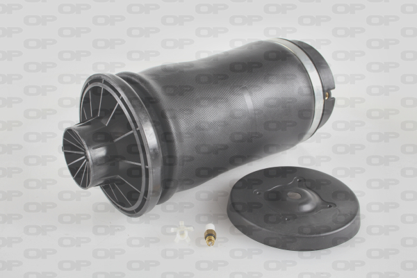 OPEN PARTS ASP4004.00 Molla...