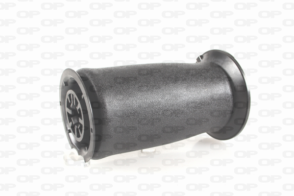 OPEN PARTS ASP4005.00 Molla...