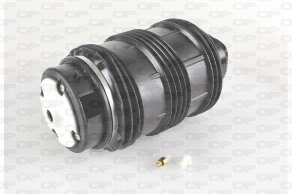 OPEN PARTS ASP4006.00 Molla...