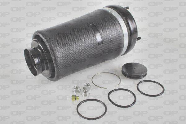 OPEN PARTS ASP4007.00 Molla...