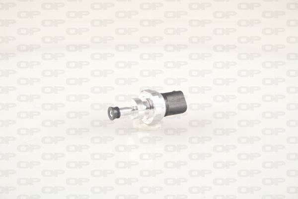 OPEN PARTS EGP1013.00...