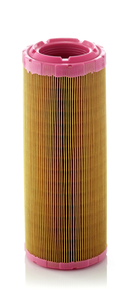 MANN-FILTER C 1196/2 Filtro aria-Filtro aria-Ricambi Euro