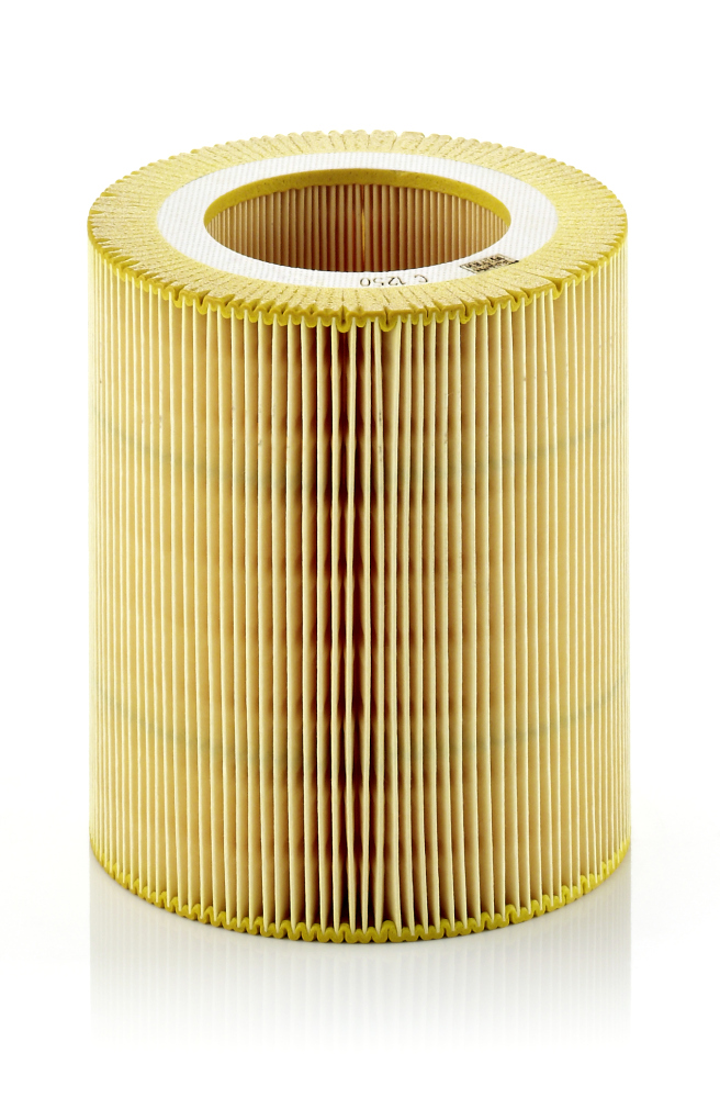 MANN-FILTER C 1250 Filtro aria-Filtro aria-Ricambi Euro