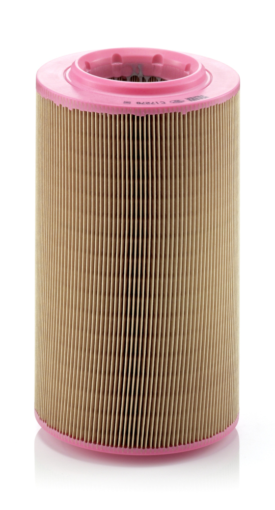 MANN-FILTER C 17 278 Filtro aria-Filtro aria-Ricambi Euro