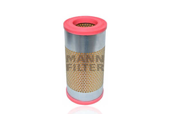 MANN-FILTER C 17 314 Luftfilter