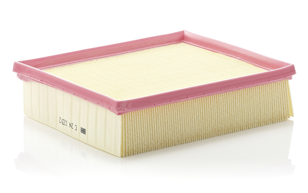 MANN-FILTER C 16 113 – Filtro Aria Motore Per Renault Clio, Express, Rapid E 19 (Cartuccia)