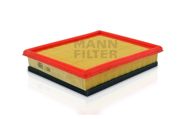 MANN-FILTER C 2583 Luftfilter