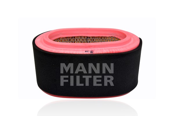 MANN-FILTER C 25 010 Luftfilter
