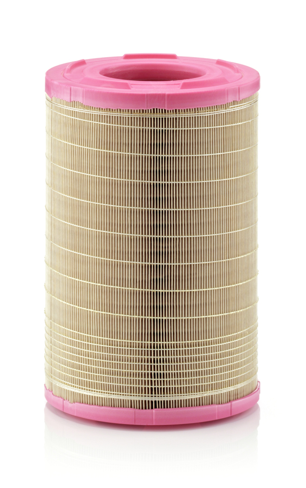 MANN-FILTER C 25 730/1 Filtro aria