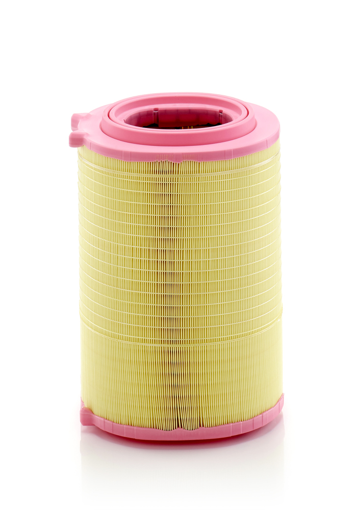 MANN-FILTER C 29 046 Filtru...