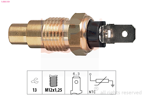 DELPHI TS10075-12B1 Sensor, motortemperatur