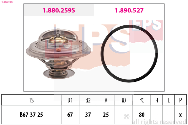 EPS 1.880.259 Made in Italy...