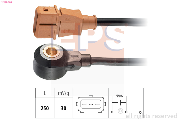 TOPRAN 114 895 Bankesensor