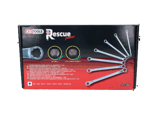 KS TOOLS 517.1555 Double Ring Spanner Set