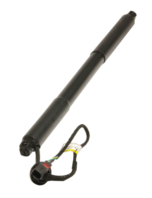 MAXGEAR 12-2551 Gasfeder, Einlegeboden (Koffer-/Laderaum)