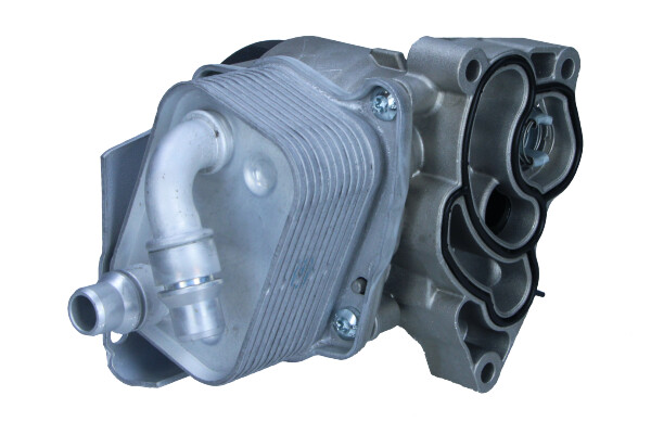 MAXGEAR 14-0049 Ölkühler, Motoröl