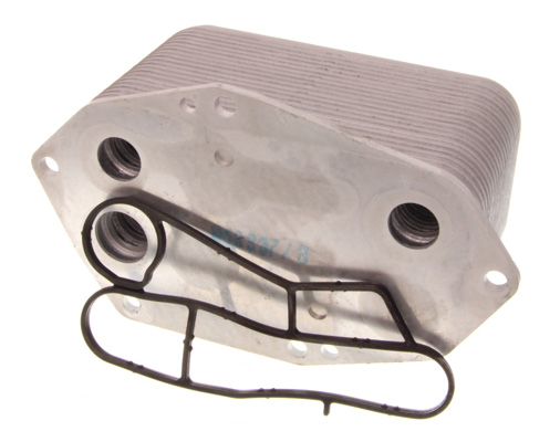 MAXGEAR 14-0061 Ölkühler, Motoröl