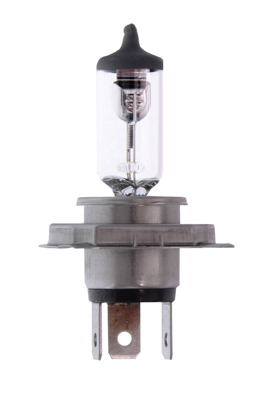 MAXGEAR 78-0009 Glühlampe, Hauptscheinwerfer