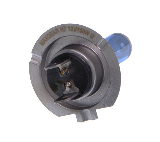 MAXGEAR 78-0091 Glühlampe, Hauptscheinwerfer