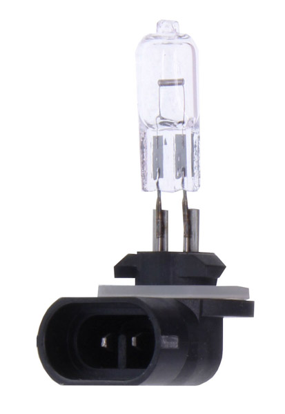 MAXGEAR 78-0137 Glühlampe, Hauptscheinwerfer