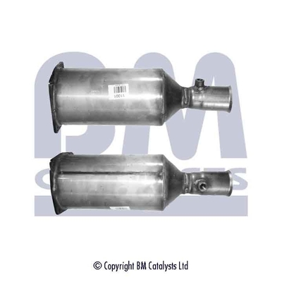 BM CATALYSTS BM11001P...