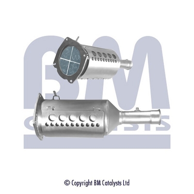 BM CATALYSTS BM11129P...