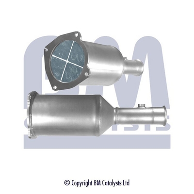 BM CATALYSTS BM11134P...