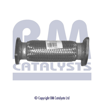 BM CATALYSTS BM50209 Tubo...