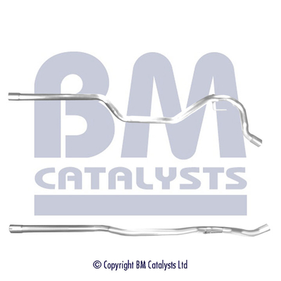 BM CATALYSTS BM50399 Tubo...