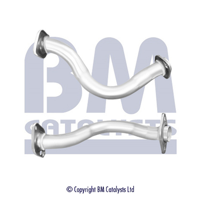 BM CATALYSTS BM50875 Tubo...