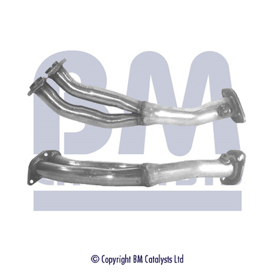 BM CATALYSTS BM70137 Tubo...