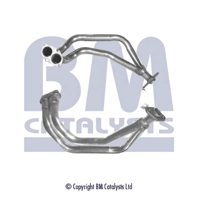 BM CATALYSTS BM70255 Tubo...