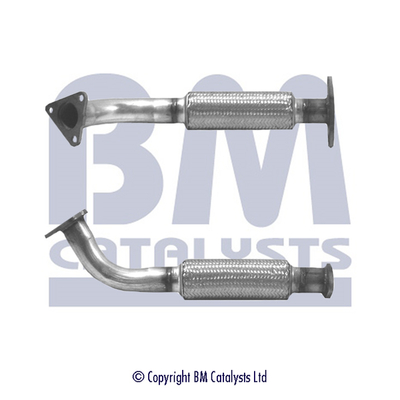 BM CATALYSTS BM70266 Tubo...