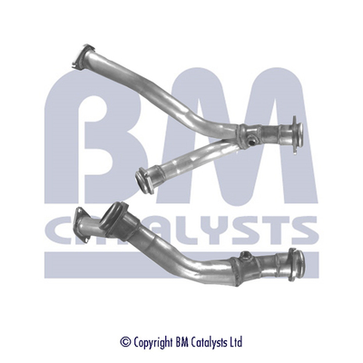 BM CATALYSTS BM70292 Tubo...