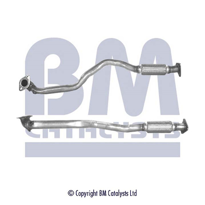 BM CATALYSTS BM70299 Tubo...