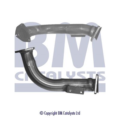 BM CATALYSTS BM70311 Tubo...