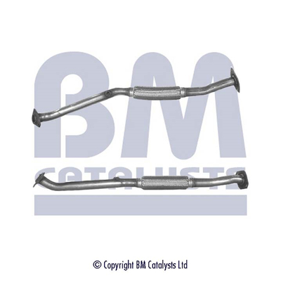 BM CATALYSTS BM70339 Tubo...