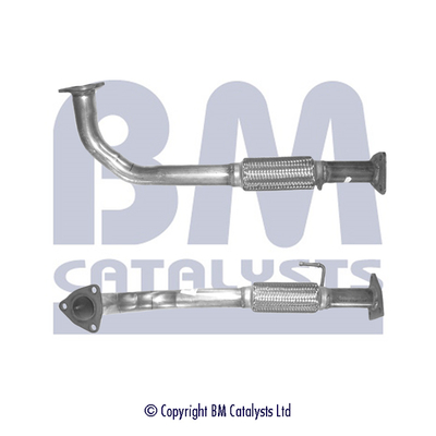 BM CATALYSTS BM70391 Tubo...