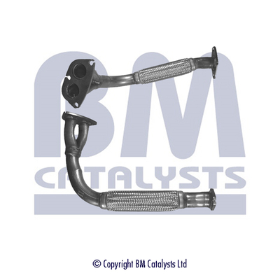 BM CATALYSTS BM70483 Tubo...